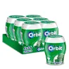 ORBIT DRAGEIA HIERBUENA BOTTLE