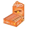 REGINA CHOCOLATE DE LARANJA 20GR