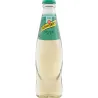 Schweppes Ginger Ale 20cl