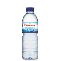 Caldas Penacova Água Mineral 50cl