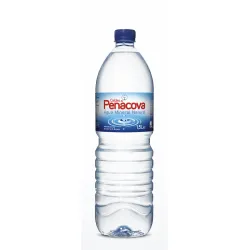 Caldas Penacova Água Mineral 1,5L
