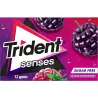 TRIDENT PASTILHAS SENSES BERRY 23GR