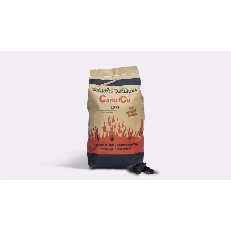 CARVAO SACO 5KG