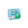 TRIDENT ORAL B SPEARMINT 17GR
