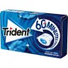 TRIDENT 60MIN PEPPER 22GR