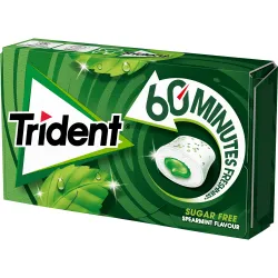 TRIDENT 60MIN SPEAR 22GR