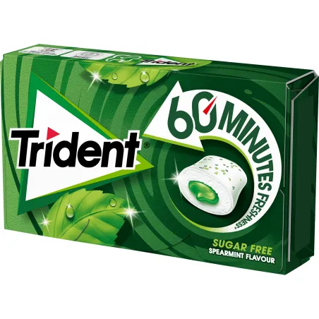 TRIDENT 60MIN SPEAR 22GR