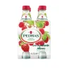 Pedras Salgadas Água Gaseificada Frutos Vermelhos 25cl