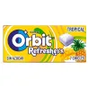 ORBIT REFRESHER TROPICAL SINGLE 15,6G