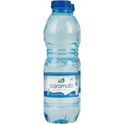 CARAMULO AGUA 0,33L SDR
