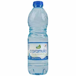 CARAMULO AGUA 0,50L SDR