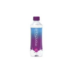 AGUA MONCHIQUE 340ML