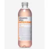VITAMIN ANTIOXID PESSEGO 0,5L