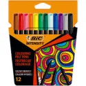 BIC COLORIR INTENSITY 12UN