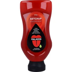 KETCHUP TDOWN PALADIN 450GR